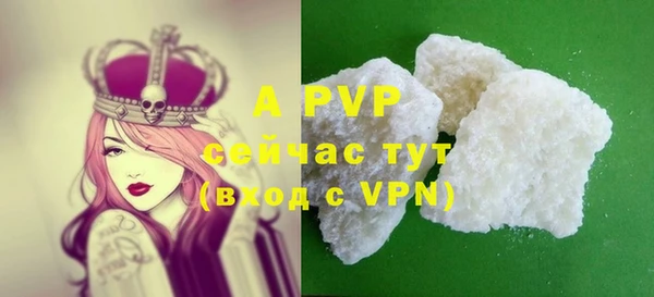 ПСИЛОЦИБИНОВЫЕ ГРИБЫ Карпинск