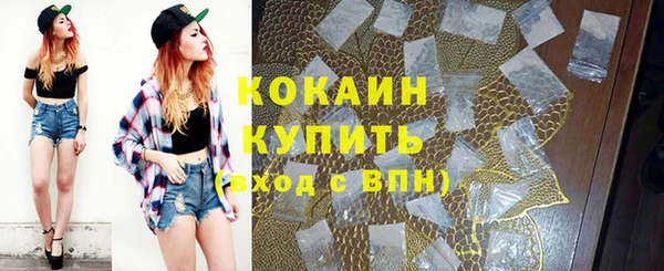 ПСИЛОЦИБИНОВЫЕ ГРИБЫ Карпинск