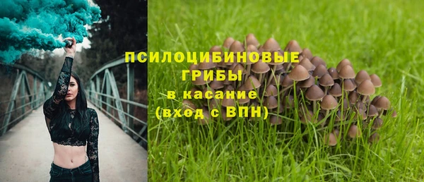 ПСИЛОЦИБИНОВЫЕ ГРИБЫ Карпинск