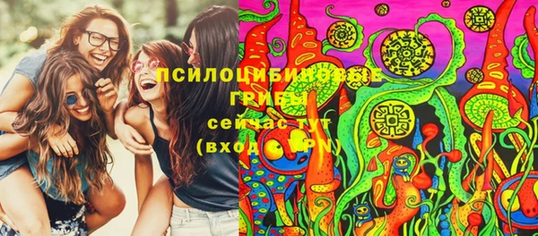 дмт Касимов