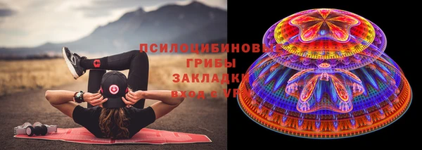 ПСИЛОЦИБИНОВЫЕ ГРИБЫ Карпинск