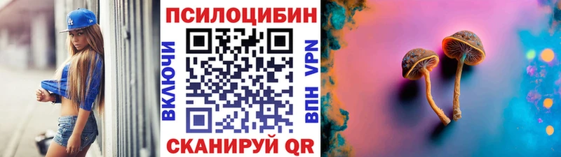 Псилоцибиновые грибы прущие грибы  Купить  Котельнич 